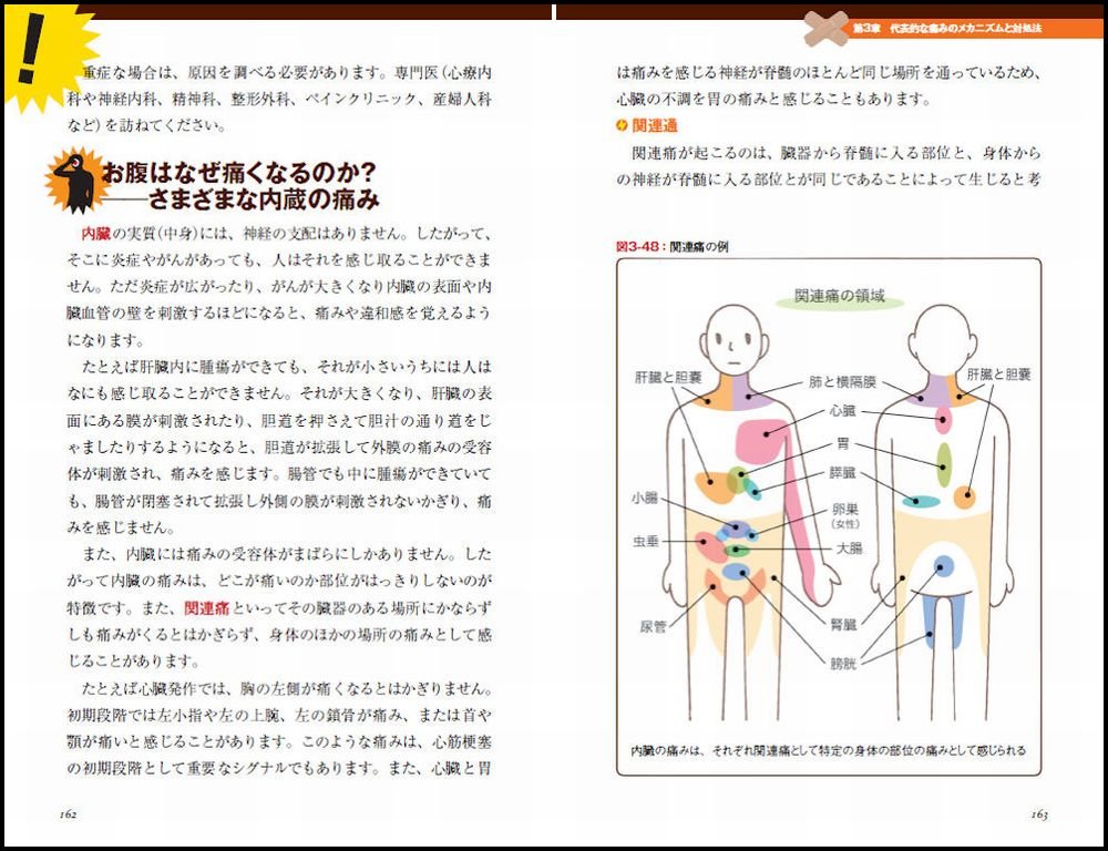 痛みをやわらげる科学 下地恒毅 痛みをやわらげる科学 新装版 痛みの